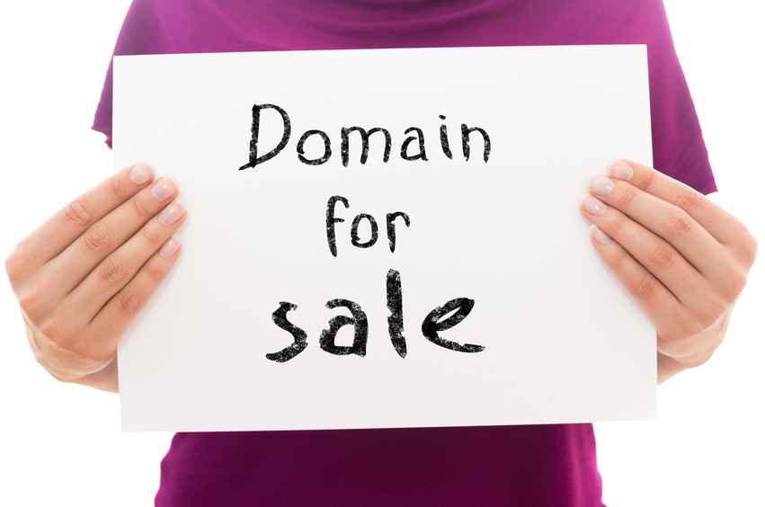 Domain name dispute resolution lawyer