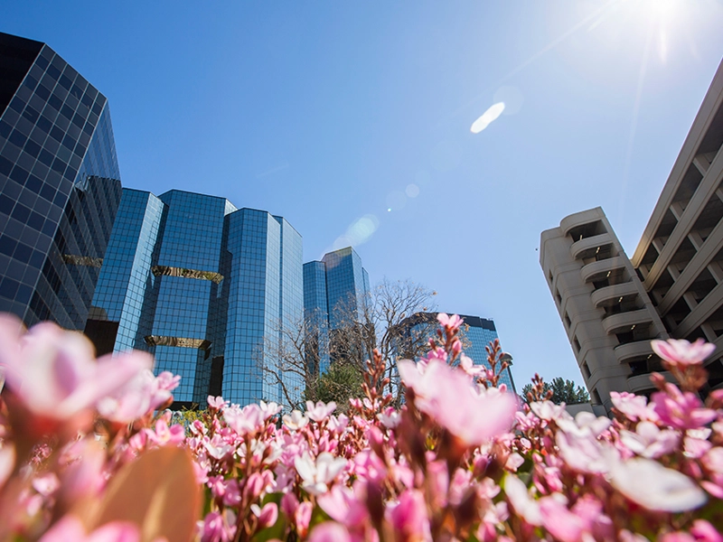 Trademark lawyer serving Calabasas, CA